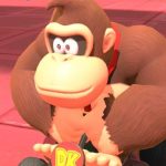 donkeykong65